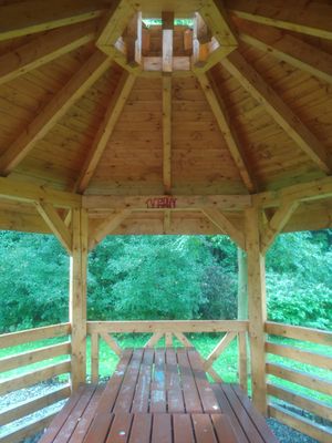 Straconka - światło w naturze